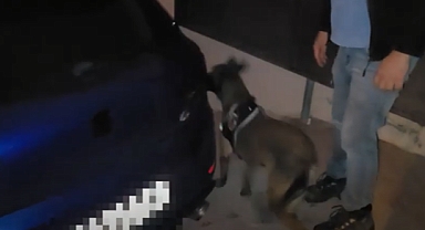 İzmir Polisinden Uyuşturucu Operasyonu 