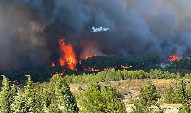 Çanakkale'de orman yangını: Havaalanı yeniden kapatıldı