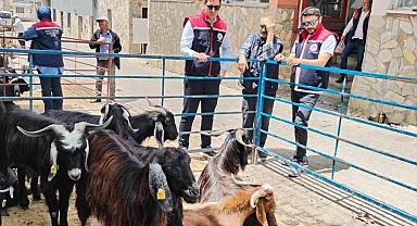 Bozdoğan’da kurban satış yerleri denetlendi