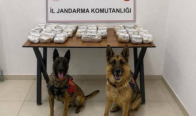 Hakkari’de 21 kilo 650 gram toz esrar ele geçirildi