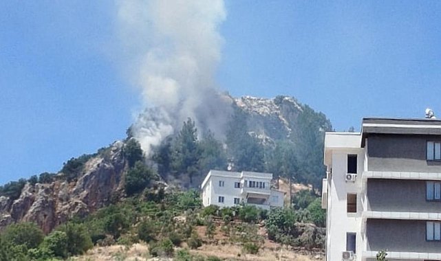 Kahramanmaraş’ta orman yangını