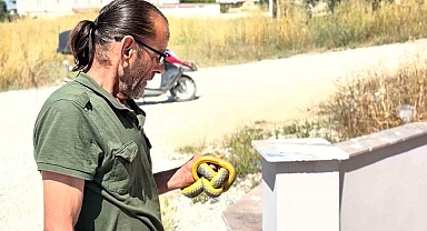 Yılanları çıplak elleriyle yakalayıp doğaya salıyor