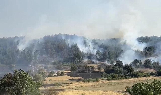 Balıkesir'de orman yangınına müdahale sürüyor