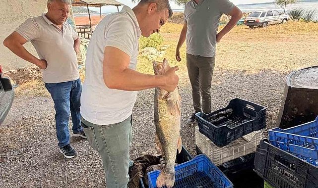 Beyşehir Gölü’nde avlanan balıklar tek tek kontrol edildi