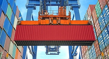 Düzce’den 4 bin 135 ton orman ürünü ihraç edildi