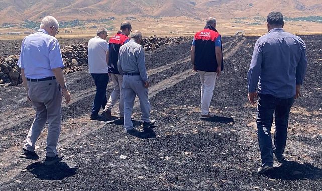 Elazığ’da küle dönen 70 dönümlük ekili alanda hasar tespit çalışmaları