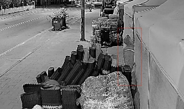 Hırsızlık girişimi kamerada: Biri kilitli kapıyı açmaya, diğeri paspası alıp kaçmaya çalıştı