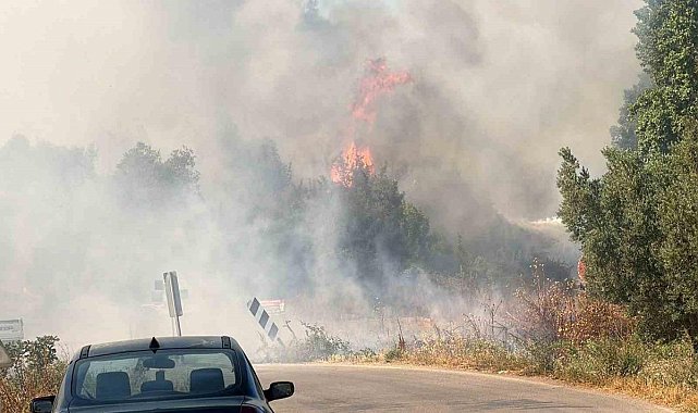 İznik’te korkutan yangın