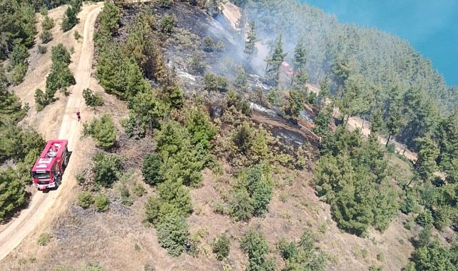 Kahramanmaraş’ta orman yangını