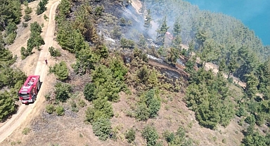 Kahramanmaraş’ta orman yangını