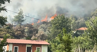 Muğla'da orman yangını: Alevler evlere ulaştı