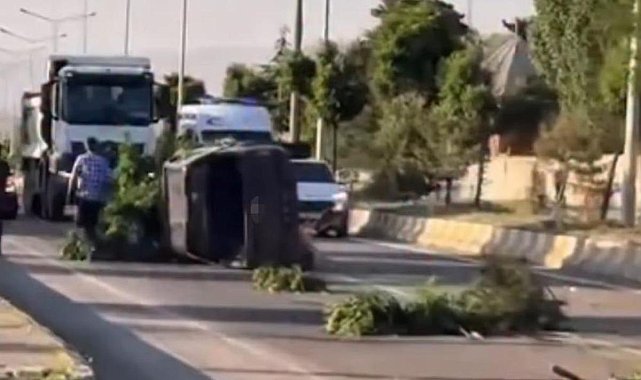 Muş'ta İl Özel İdaresi'ne ait araç takla attı: 1 yaralı