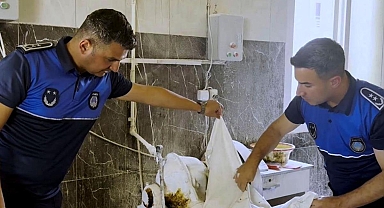 Vatandaşa yedireceklerdi! Tarsus'ta fırın denetimlerinde haşereli hamur tespit edildi