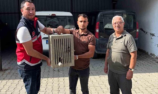 Yaralı halde bulunan leylek, koruma altına alındı