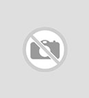 Editör / Erdal Özçelik